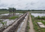 Kukar Bangun 11 Kilometer Saluran Irigasi