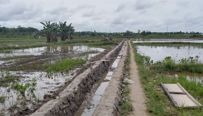 Kukar Bangun 11 Kilometer Saluran Irigasi