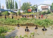 Rinaldi Kafka dan Sejumlah Pemuda Bersihkan Kumpai di Sungai Tenggarong