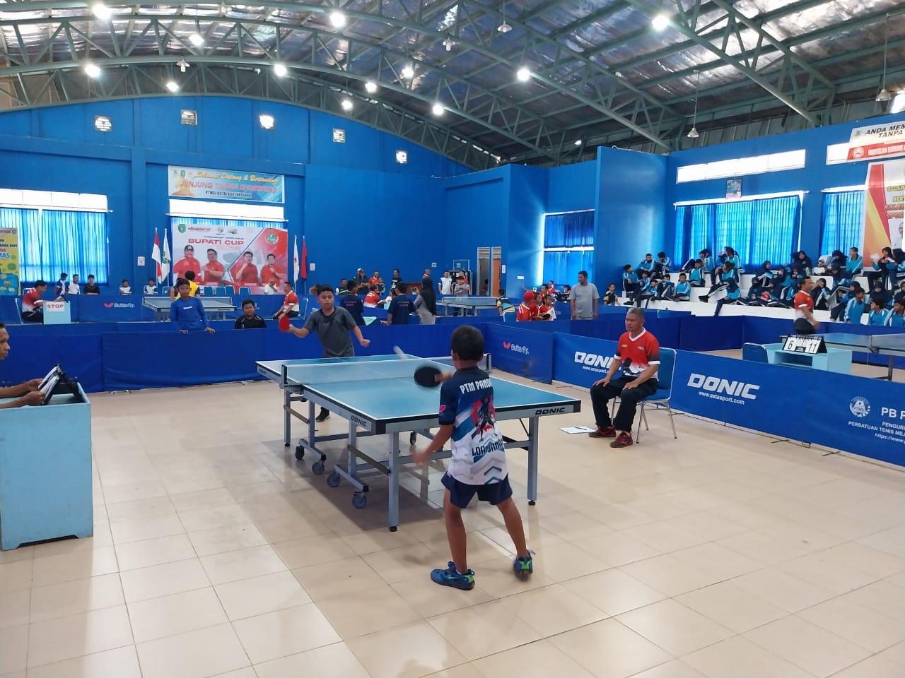 tenis meja