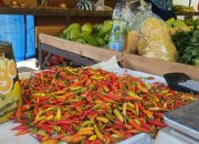 Harga Cabai di Tenggarong Tembus Rp100 Ribu Per Kilogram