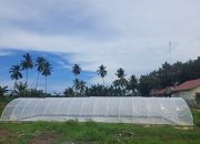 Pertama di Kukar, Desa Kersik Kembangkan Produksi Garam Krosok