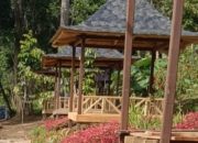 Gunung Kelapis Permai, Destinasi Agrowisata yang Memikat di Jembayan Loa Kulu