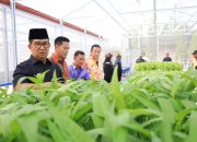 Pj Gubernur Panen Perdana Sayuran di Green House Embarkasi Haji Balikpapan