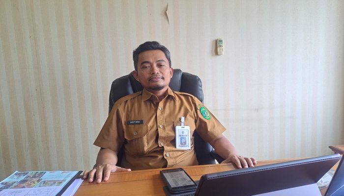 Sasar Pengelola Wisata dan Pokdarwis, Dispar Bakal Gelar Sejumlah Pelatihan dan Sertifikasi