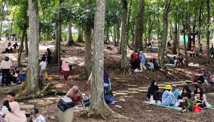 Semakin Banyak Pengelola Wisata Baru di Kukar Dorong Peningkatan Kunjungan Wisatawan