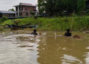 Jaga Keberadaan Pesut Mahakam, Pokdarwis Desa Pela Gotong Royong Bersihkan Sampah Disekitar Sungai