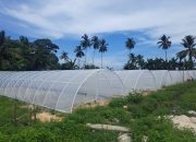 Wujudkan Peningkatan Ekonomi Masyarakat Melalui Pengembangan Produksi Garam Krosok