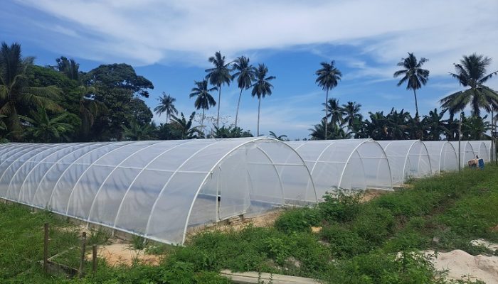 Wujudkan Peningkatan Ekonomi Masyarakat Melalui Pengembangan Produksi Garam Krosok