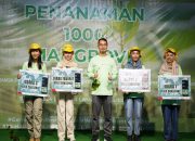 Peringati Hari Lingkungan Hidup Sedunia, Grup PHI Tanam 1.200 Bibit Mangrove di Wilayah Kaltim