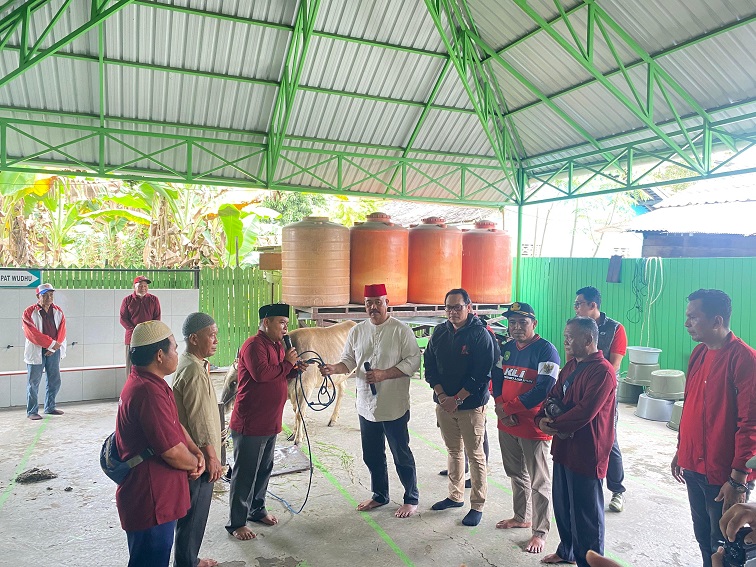 Penyerahan bantuan hewan kurban di Masjid Al Musafirin Kelurahan Loa Ipuh Tenggarong.