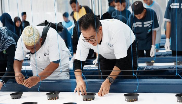 Pemprov Kaltim Dorong Semua Pihak Lakukan Penghijauan