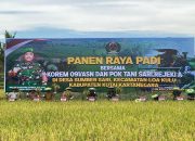 Panen Raya Padi Bersama Danrem 091/ASN dan Poktan Sari Rejeki A Loa Kulu
