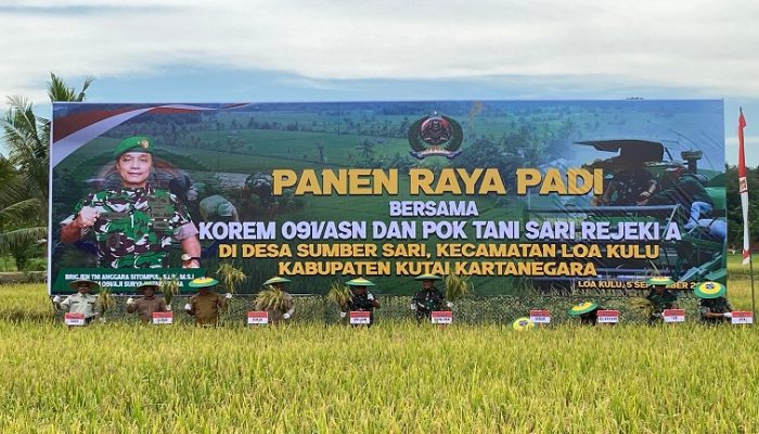 Panen Raya Padi Bersama Danrem 091/ASN dan Poktan Sari Rejeki A Loa Kulu