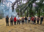 Arena Sabung Ayam di Samboja Barat Dibongkar Polisi