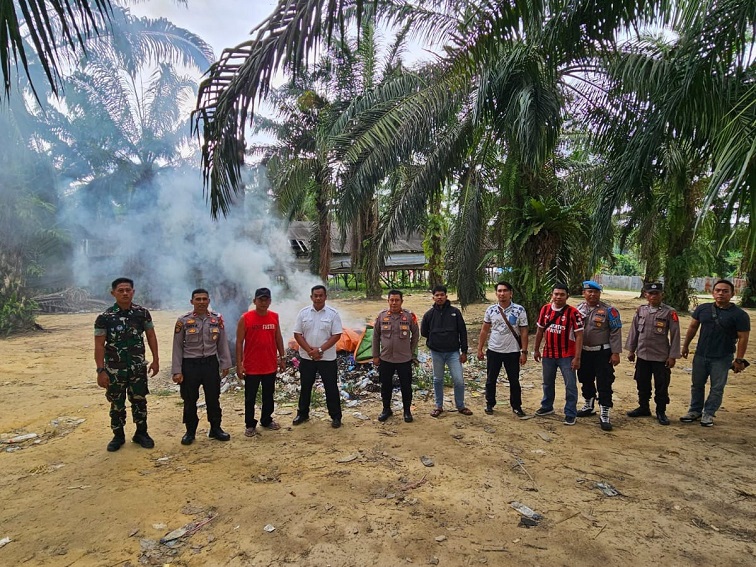Sabung Ayam