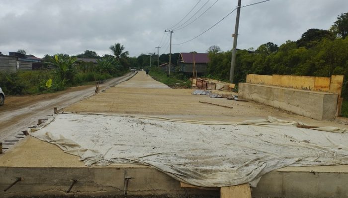 Pembangunan Infrastruktur di Desa Perdana Mencapai 80 Persen