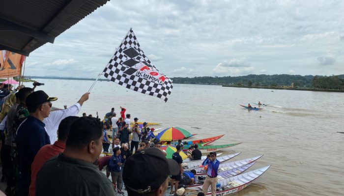 Puncak Lomba Balap Ketinting Kukar 2024: Perebutan Piala Bupati dan Hadiah Rp 151 Juta