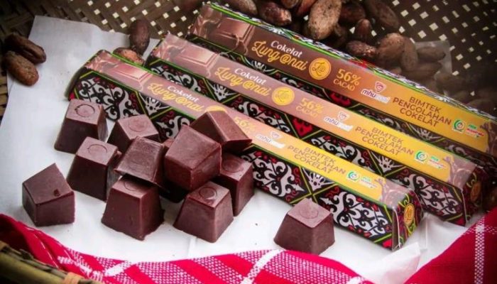Cokelat Lung Anai, Produk Unggulan dari Loa Kulu yang Siap Menembus Pasar Luas
