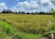 Fokus Pertanian Kukar 2025: Penguatan Infrastruktur hingga Ketahanan Pangan 13 Fokus Pertanian Kukar 2025: Penguatan Infrastruktur hingga Ketahanan Pangan