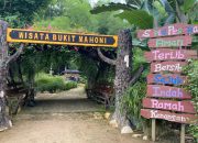 Wisata Bukit Mahoni Bangun Rejo Jadi Primadona Baru, Dorong Ekonomi dan UMKM Desa