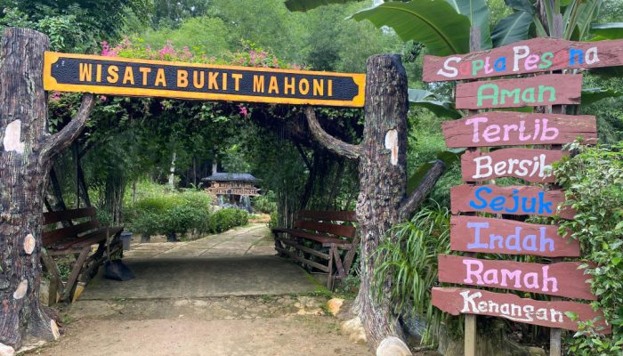 Wisata Bukit Mahoni Bangun Rejo Jadi Primadona Baru, Dorong Ekonomi dan UMKM Desa