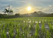 Percepat Integrasi Perencanaan Kawasan Desa, DPMD Kukar Sinergi Dengan Bappeda Kukar