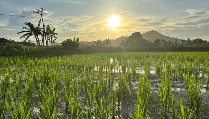 Percepat Integrasi Perencanaan Kawasan Desa, DPMD Kukar Sinergi Dengan Bappeda Kukar