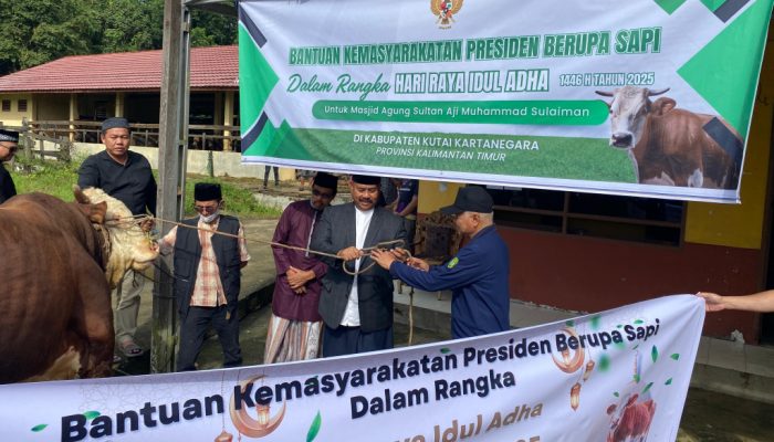 Serahkan Dua Sapi Kurban di RPH, Bupati Kukar: Semoga Bermanfaat bagi Warga yang Membutuhkan
