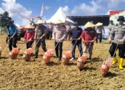 Polres Kukar Dukung Ketahanan Pangan, Kapolres Ikut Panen dan Tanam Jagung di Loa Ipuh Darat