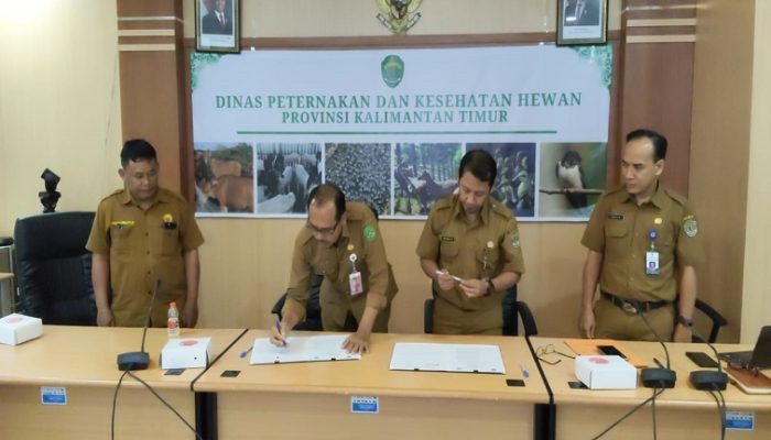 Pemprov Kaltim dan Kukar Jalin PKS, Perkuat Peternakan dan Kesehatan Hewan
