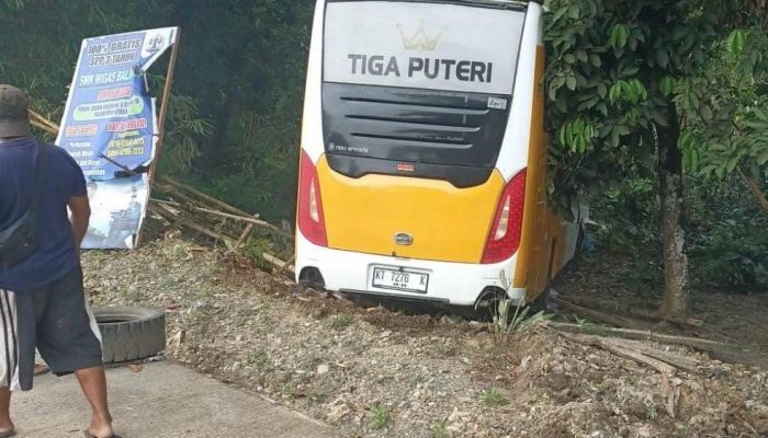 Heboh! Bus di Balikpapan Jalan Sendiri Tanpa Sopir, Tabrak Pohon di Km 9
