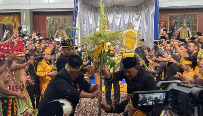 Upacara Mendirikan Tiang Ayu Tandai Dimulainya Erau 2025 di Kutai Kartanegara
