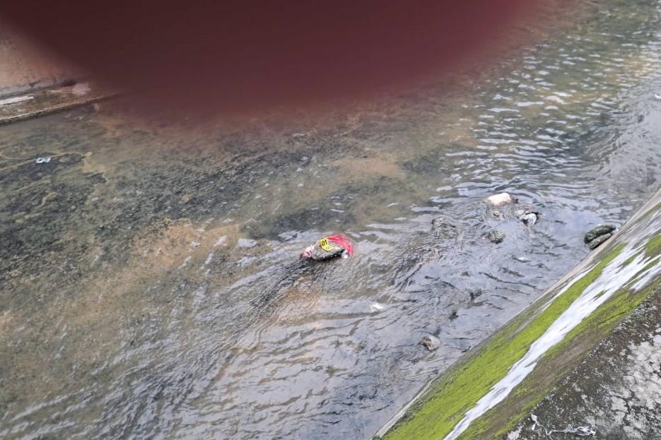 b0310ac6 3066 4a43 bdbd d5e82558ee6d