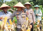 Kapolresta Balikpapan Panen Raya Jagung Pipil Tahap III di Km 12