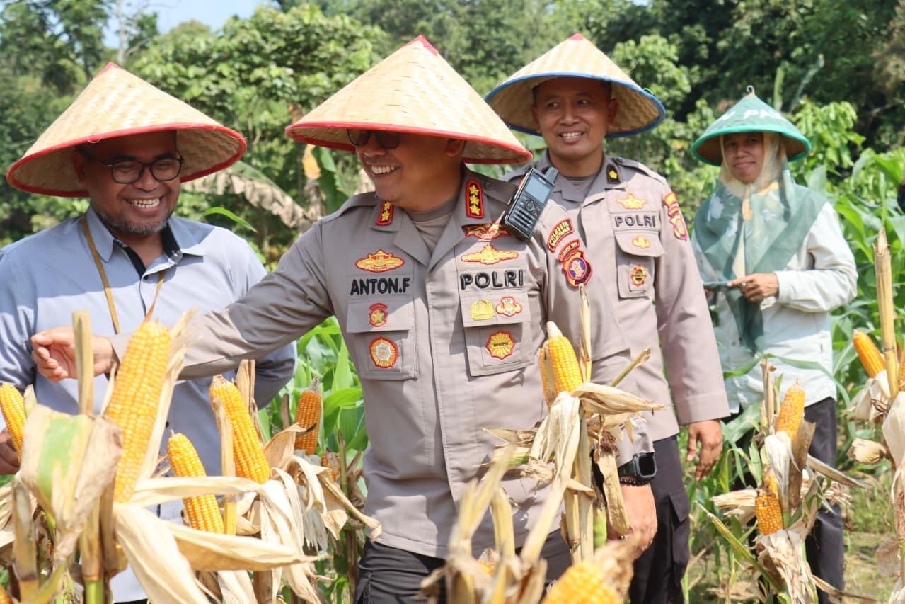 c68ce69e 4f87 4214 b047 ceb2f870cfa9