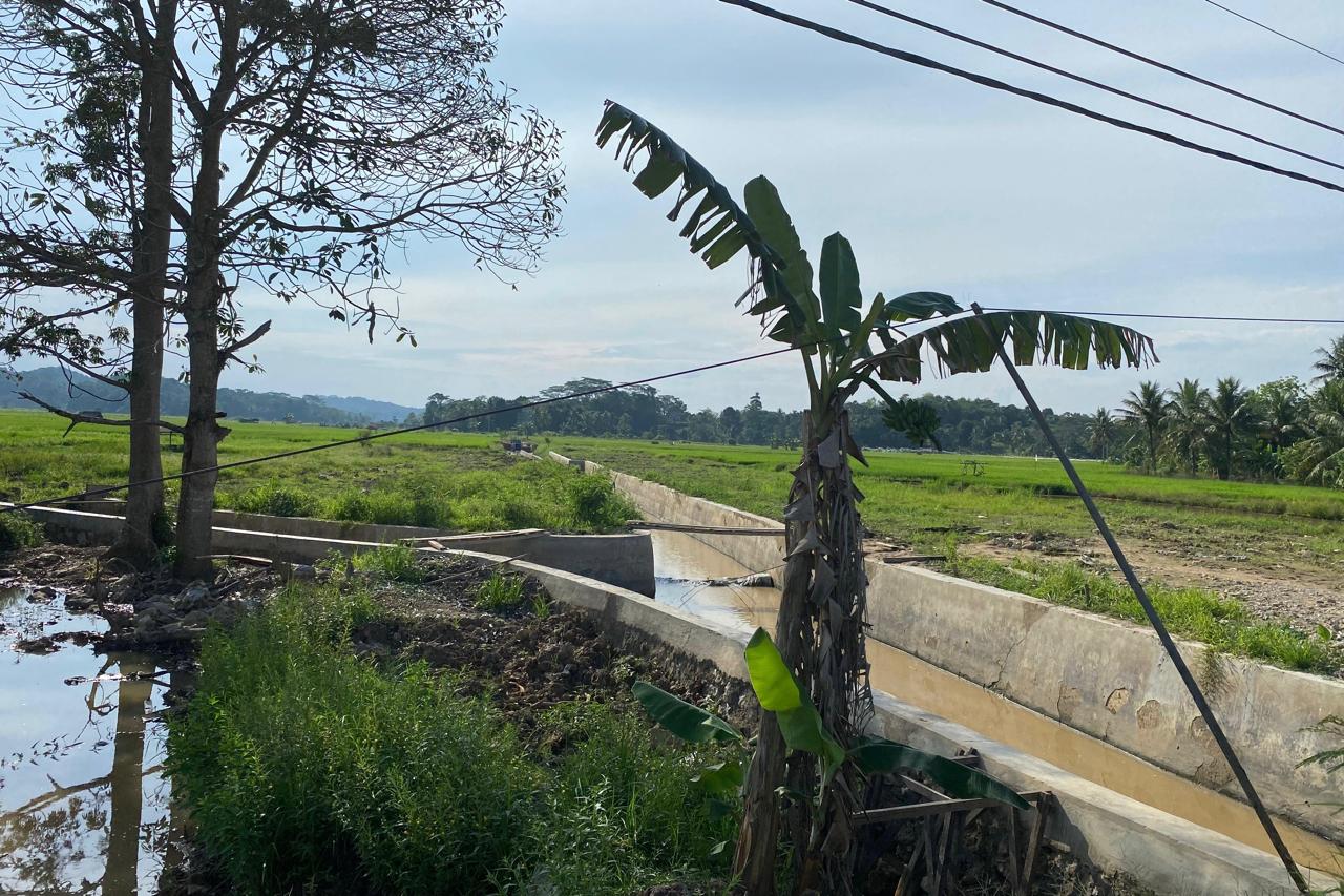 fecfa7f7 d504 43e8 add5 977da49d4b2f