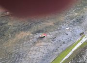 Kasus Pembuangan Orok Bayi Diduga Hasil Hamil Luar Nikah