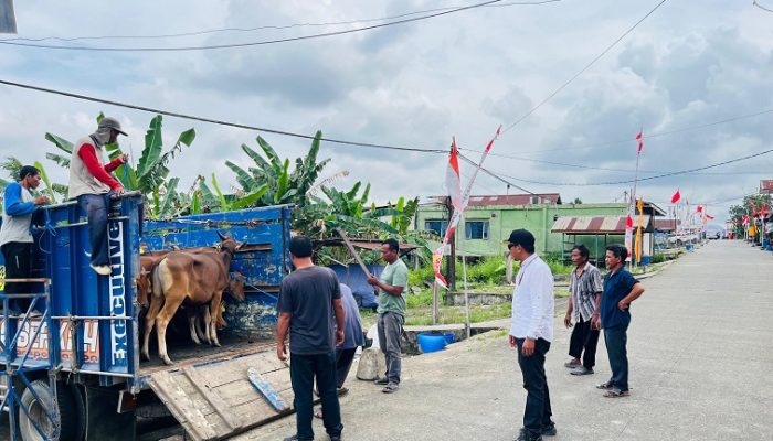 Desa Purwajaya Terima Bantuan Puluhan Ekor Sapi dari Dinas Peternakan Kukar