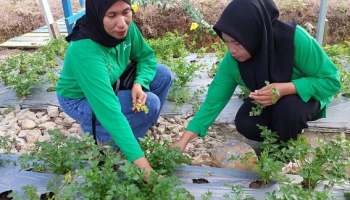 Dukung Penanganan Stunting dan TBC, PT Pertamina EP Sangasanga Field Terus Kembangkan Program CSR “PROKESMAS PUJA”