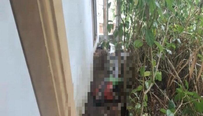 Penemuan Mayat Pria Tanpa Identitas di Rumah Kosong Timbau, Warga Curiga Korban Digigit Ular