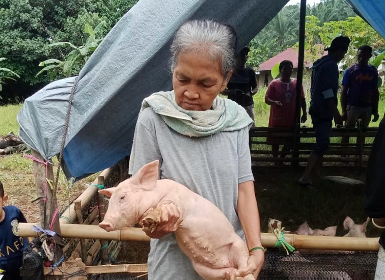 Distanak Kukar Salurkan Bantuan Ternak Babi untuk Empat Kelompok Peternak 2 Teks Foto: Bantuan Ternak Babi Tahun 2025.(Istimewa/dutakaltimnews.com).