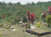 TPU Km 15 Diintegrasikan sebagai Ruang Resapan Air Kota