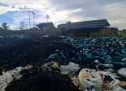 Tambang Ilegal di Jantung IKN, Polri Bentengi Marwah Lingkungan dan Keamanan Nasional