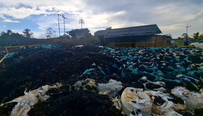 Tambang Ilegal di Jantung IKN, Polri Bentengi Marwah Lingkungan dan Keamanan Nasional