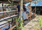 Enam Kelompok Peternak di Kukar Terima Bantuan Ayam Petelur dari Distanak