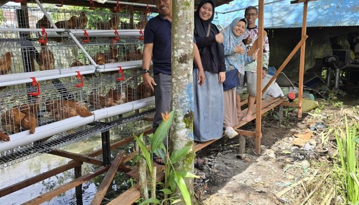 Enam Kelompok Peternak di Kukar Terima Bantuan Ayam Petelur dari Distanak