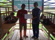 Distanak Kukar Dorong Pengembangan Kambing BOER dan PE 16 Bantuan Hewan Ternak Kambing Tahun 2025.(Istimewa/ dutakaltimnews.com).