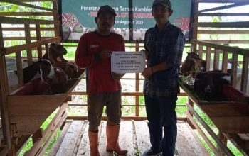 Distanak Kukar Dorong Pengembangan Kambing BOER dan PE 8 Bantuan Hewan Ternak Kambing Tahun 2025.(Istimewa/ dutakaltimnews.com).