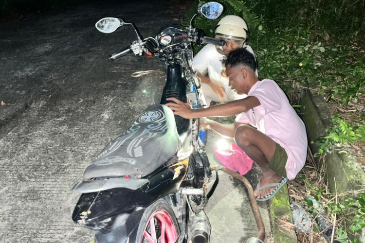 32e73433 9202 49f0 af10 1db0019b786c